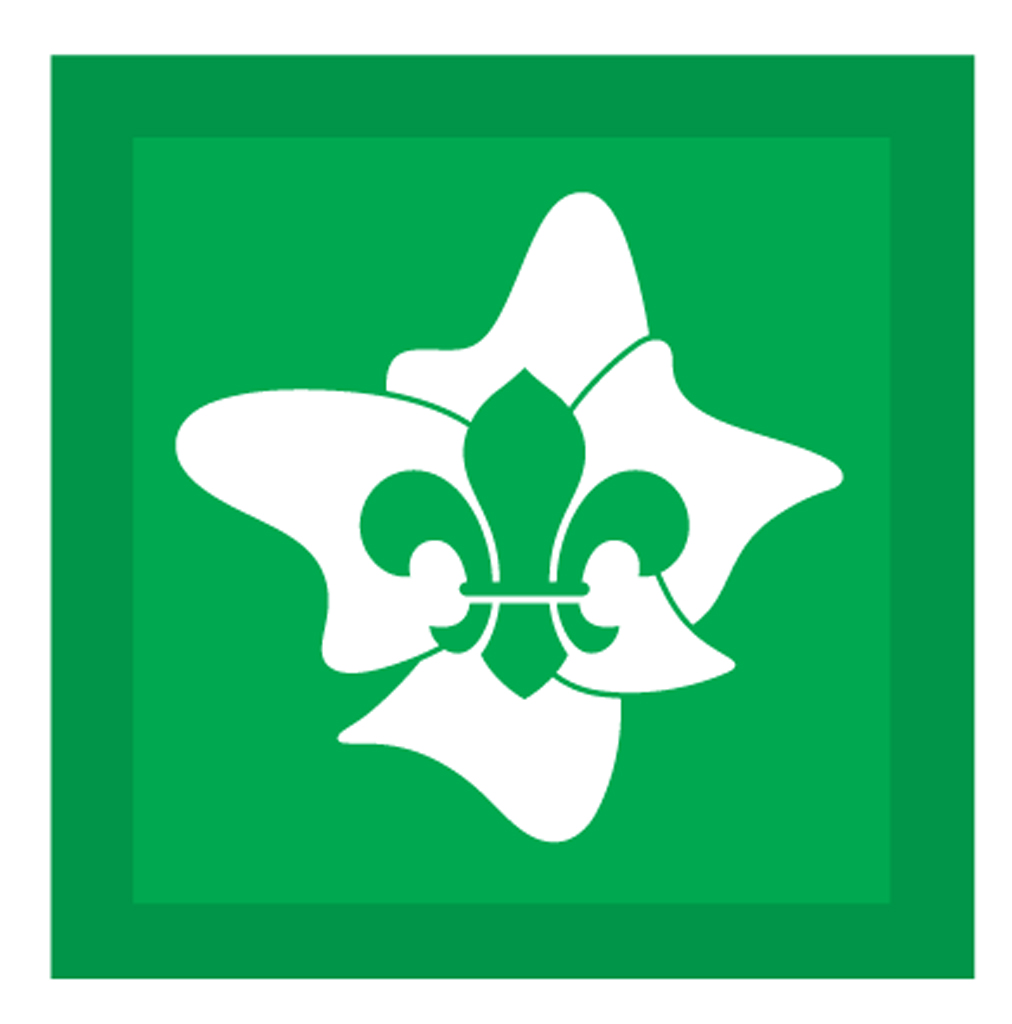 Badge 52107