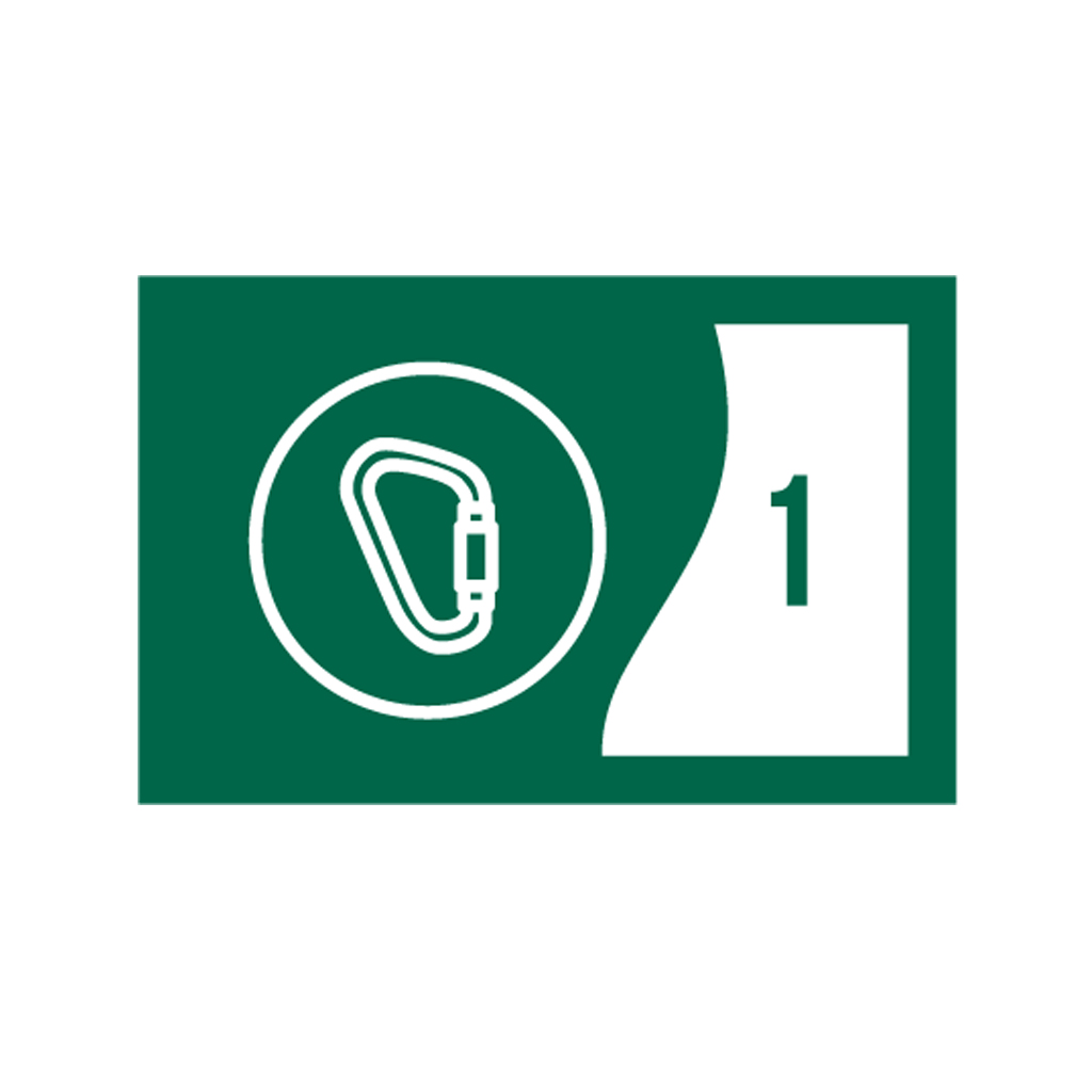OAS badge stage 52722