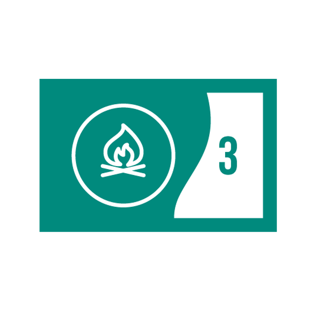OAS badge stage 52790