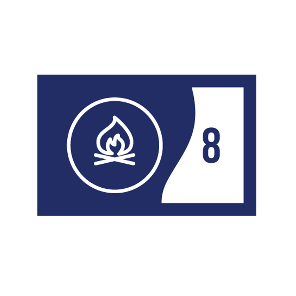 OAS badge stage 52795
