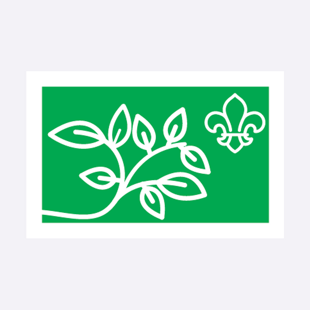 Badge Personal Development Scouts