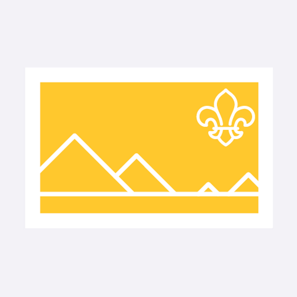 Badge Unit Management Cubs